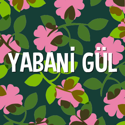 Yabani Gül